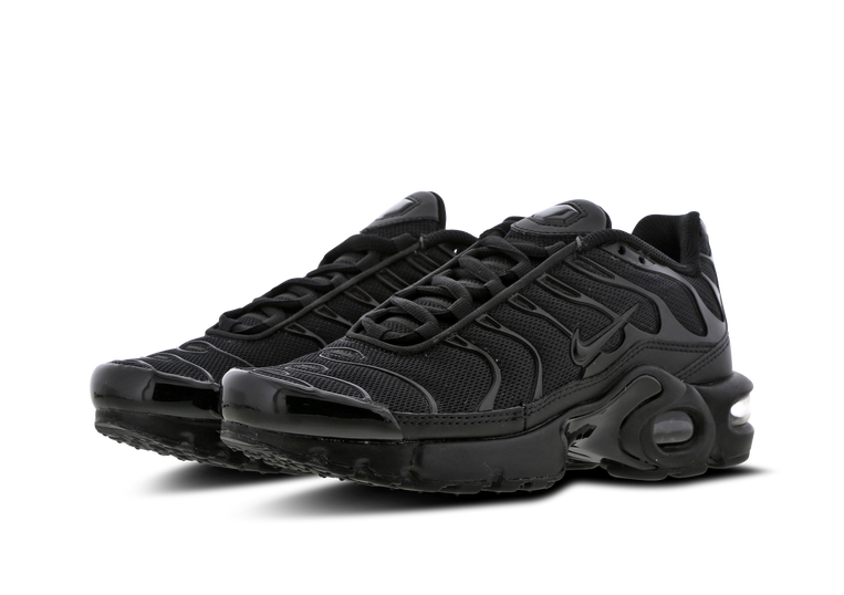 black tn with gold tick