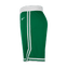 Nike NBA Boston Celtics Icon Edition Swingman - Image 3 of 3 