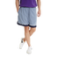 Nike Giannis - Men Shorts Ashen Slate-Ashen Slate