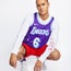 Nike Nba Mnk Jersey - Herren Jerseys/Replicas Field Purple-(Lebron James)
