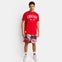 New Era NBA Chicago Bulls - Image 2 of 4 