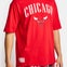 New Era NBA Chicago Bulls - Image 4 of 4 