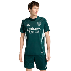 Herren Jerseys/Replicas - adidas Arsenal Tiro 25 Training Jersey - Aurora Ivy-Aurora Ivy