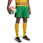 Vivid Green-Vivid Green