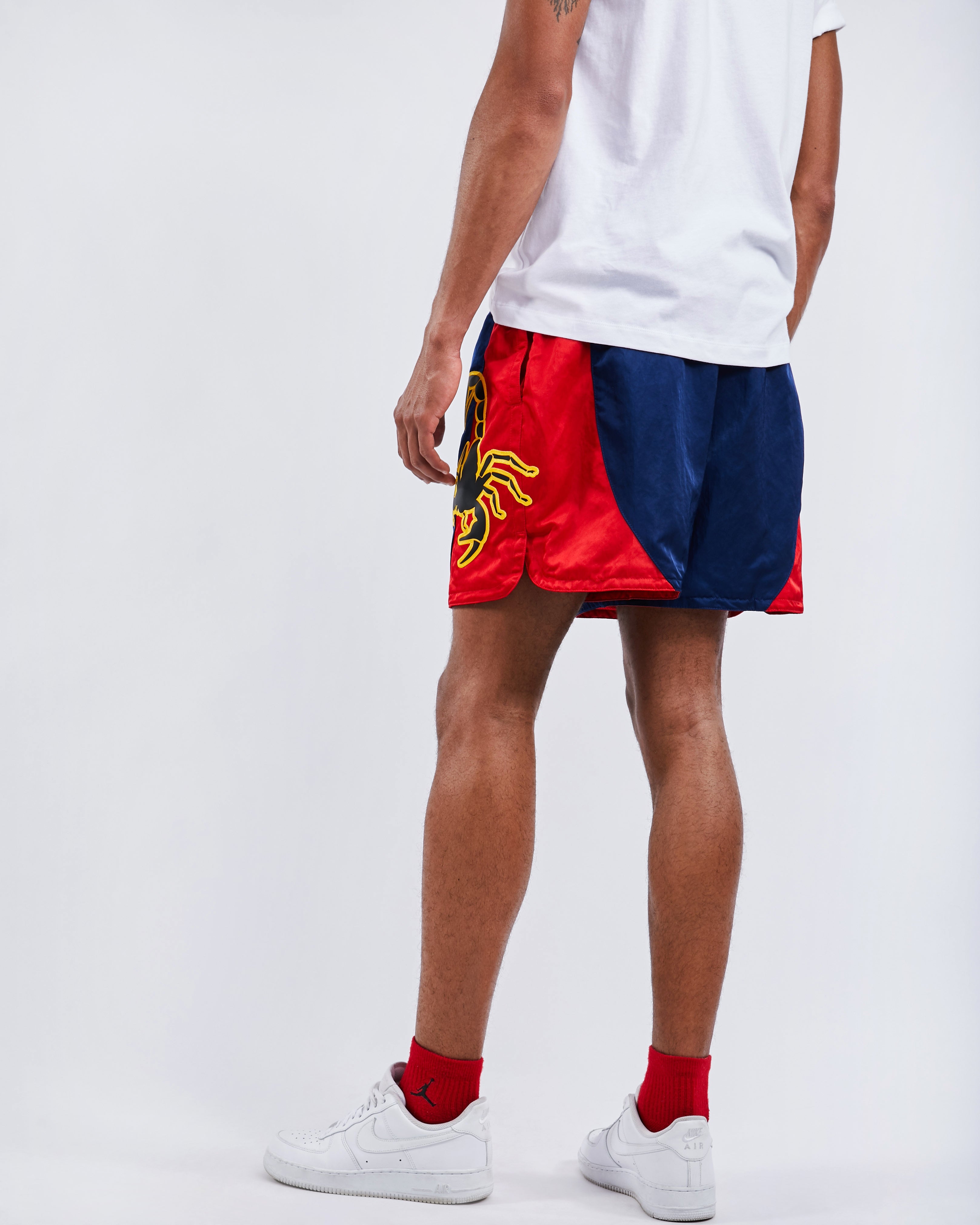 scorpion nike shorts