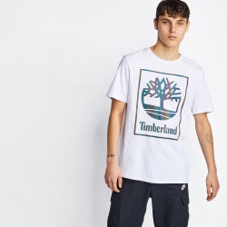 Men T-Shirts - Timberland Northern Lights Shortsleeve - White-White
