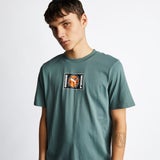 Balsam Green-Balsam Green