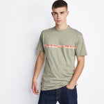 Forest Fog-Forest Fog