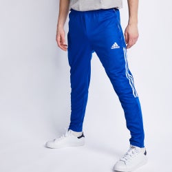 Men Pants - adidas Soccer Track Pant - Team Royal Blue-Team Royal Blue