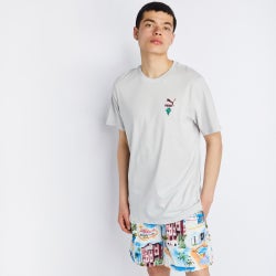 Homme T-Shirts - Puma Classics - Grey-Grey