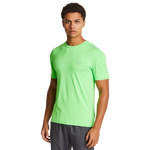 Grey-Green