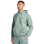 Silver Green-Silver Green