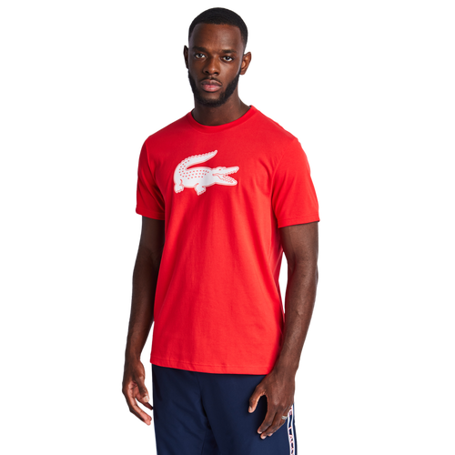 Lacoste Big Croc Logo - Image 1 of 4 Enlarged Image