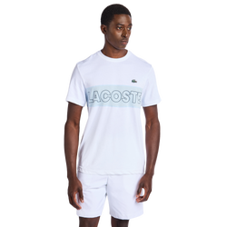 Herren T-Shirts - Lacoste Small Croc Logo Stripe - White-Blue-White