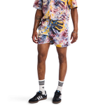 Multicolor-Multicolor