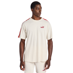 Herren T-Shirts - Puma Essentials+ Tape - Alpine Snow-Alpine Snow
