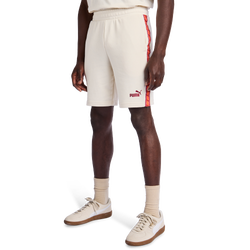 Herren Shorts - Puma Essentials+ Tape - Alpine Snow-Alpine Snow