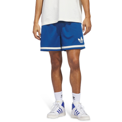 Uomo Shorts - adidas Warp Knit - Dark Marine-Ivory