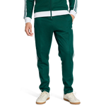 Collegiate Green-White