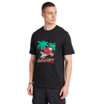 Black-Red-Green