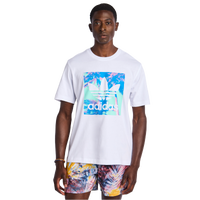 White-Blue-White