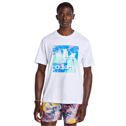 Homme T-Shirts - adidas Graphics - White-Blue-White