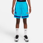 Lt Blue Fury-Concord