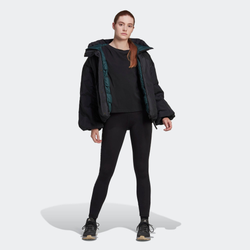 Dames Jackets - adidas Terrex Myshelter Cold.Rdy - Black-Black