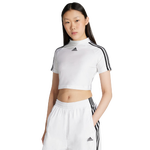 White-White