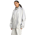 Cotton Canvas-Silver Metallic