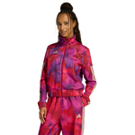 Bahia Magenta-Active Maroon