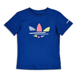 Bold Blue-Bold Blue