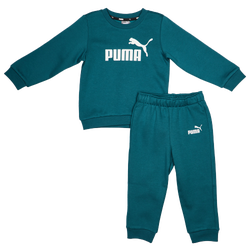 Bebes Tracksuits - Puma Minicats Essential - Cold Green-Cold Green