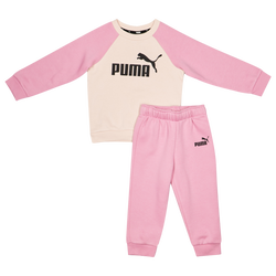 Bebes Tracksuits - Puma Minicats Essential Raglan - Mauved Out-Mauved Out