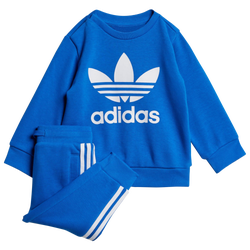 Baby Tracksuits - adidas Crew - Blue-Blue