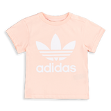 Haze Coral-White