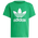 adidas Adicolor Trefoil - Vorschule T-Shirts Green-Green