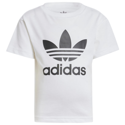 Vorschule T-Shirts - adidas Adicolor Trefoil - White-White