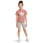 Semi Lucid Red-Multicolor