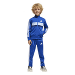 Royal Blue-White