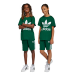 Dark Green-Dark Green