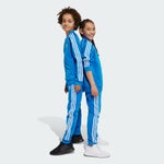 Bluebird-Bluebird