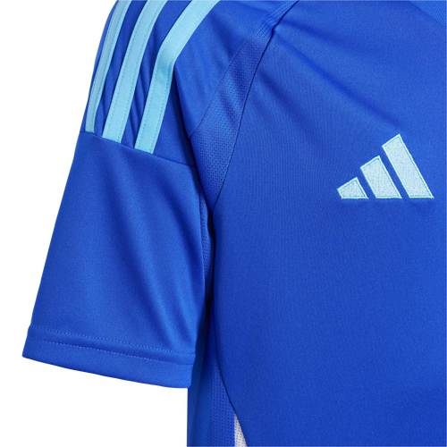 adidas Argentina 24 Away - Image 5 of 5 Enlarged Image