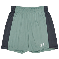 Grundschule Shorts - Under Armour Ch. Knit - Silica Green-Silica Green