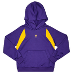 Court Purple-University Gold