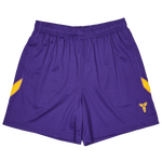 Court Purple-University Gold