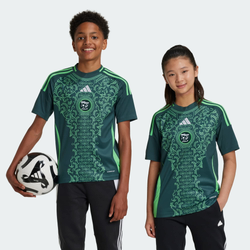 Primaire-College Jerseys/Replicas - adidas Algeria 24 Away - Mineral Green-Mineral Green