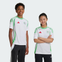 adidas Algeria 24 Home - Image 2 of 5 