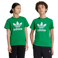 Grundschule T-Shirts - adidas Adicolor Trefoil - Green-Green