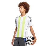 White-Semi Solar Yellow
